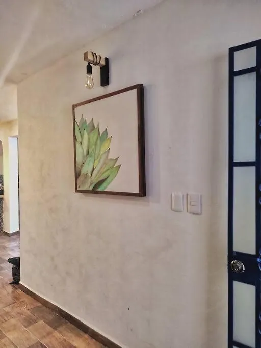 Casa Blu, en el corazon de Merida-1